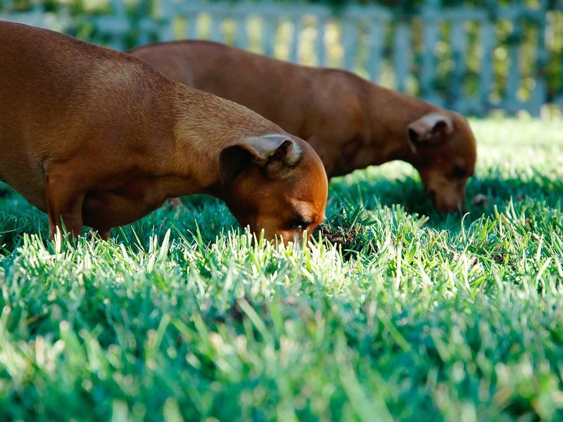 sudoku daily practice screenshot 4